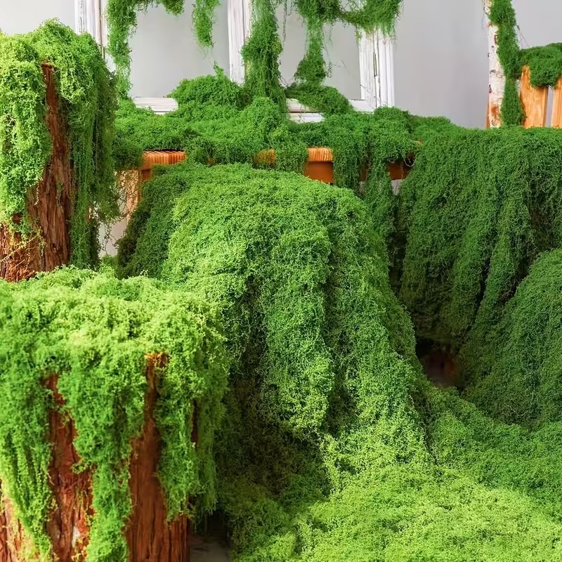 リアルな人工苔芝生フェイク芝生バイオニックプラント、インスタ - Preserved Moss Sheet のレビューと価格