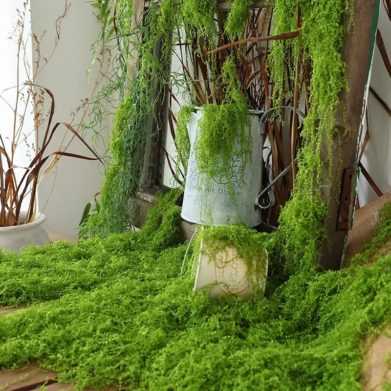 リアルな人工苔芝生フェイク芝生バイオニックプラント、インスタ - Preserved Moss Sheet のレビューと価格