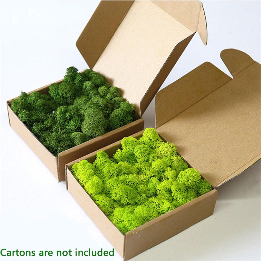 人工植物永遠の命モスガーデンクリスマス装飾壁 Diy フラワ - Preserved Moss Sheet のレビューと価格